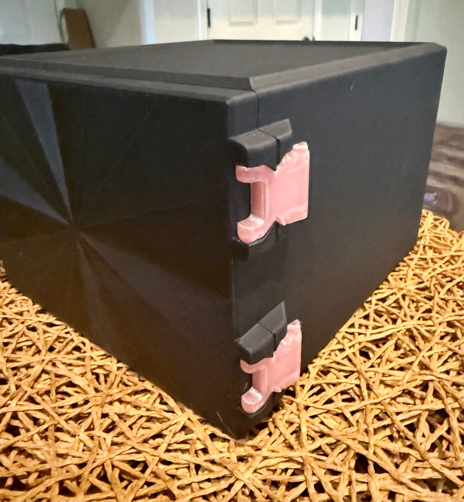 Packasaurus